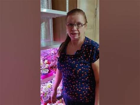 Как избавиться от мошки на цветах и рассаде - YouTube