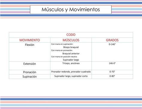 Movimientos Y M Sculos Del Codo Denise Udocz