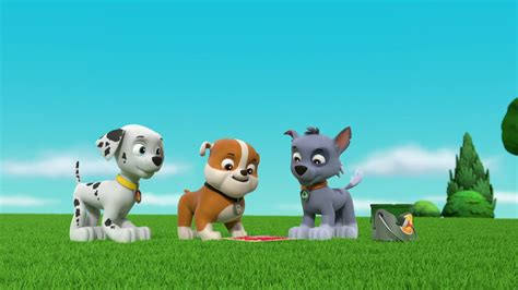 Rockygallerypups Save A Clown Paw Patrol Wiki Fandom Paw Patrol