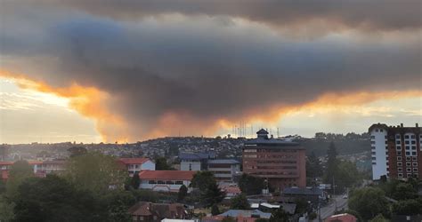 Alerta Roja En Puerto Montt Incendio Forestal Obliga A Evacuar