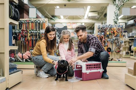 Francia prohíbe venta de perros y gatos en tiendas de animales