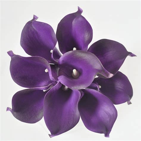 9pcs Royal Purple Picasso Calla Liliesreal Touch Calla Lily Etsy