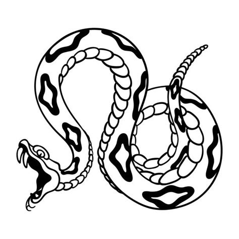 Rattle Snake Head Illustrations Royalty Free Vector Graphics And Clip