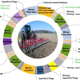 Example Of Year Crop Rotation For Tillage Based System Using No