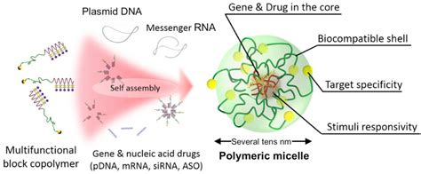 Projects Innovation Center Of Nanomedicine