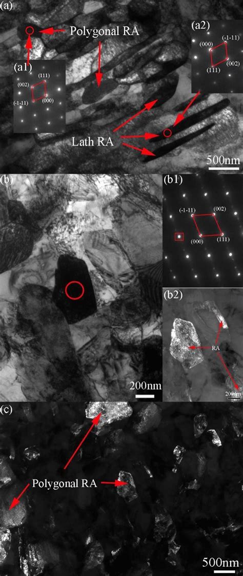 Tem Micrographs Of The Investigated Samples A Bright Field Image Of