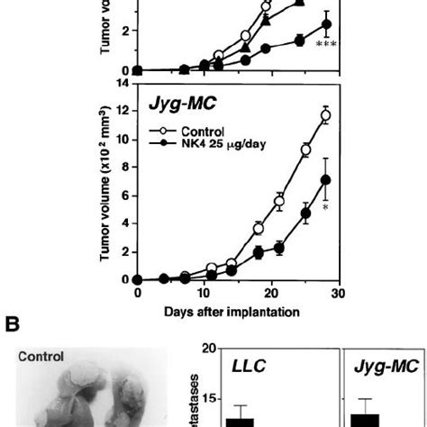 Suppression Of Primary Tumor Growth And Lung Metastasis Of Llc And Jyg