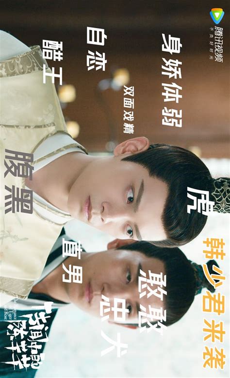 傳聞中的陳芊芊 The Romance Of Tiger And Rose｜韓爍 Movie Posters Romance Tiger