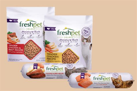 Freshpet Cat Food Review 2024