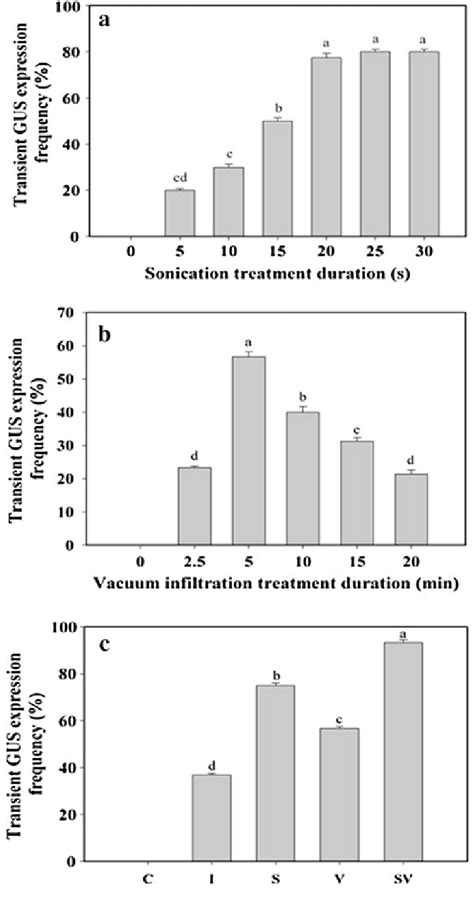 A Effect Of SAAT Treatment Duration And B Vacuum Infiltration Treatment