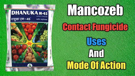 Mancozeb Contact Fungicide Uses And Mode Of Action Educational