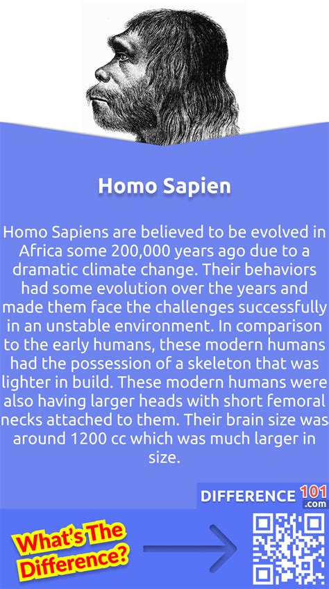 Homo Erectus vs. Homo Sapien: 14 Key Differences, Description ...