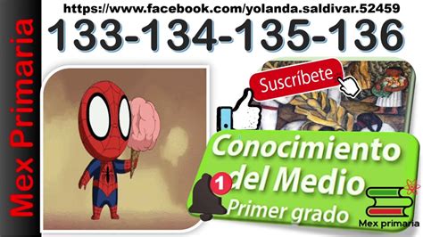 Conocimiento Medio Primer Grado P Gina Conocimiento