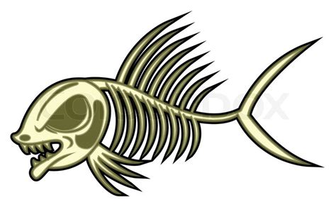 Fish Skeleton Stock Vector Colourbox