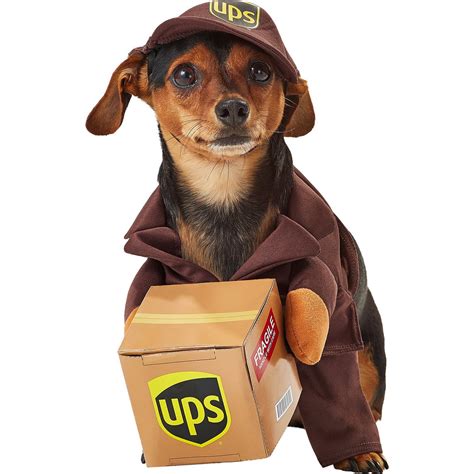 How Much Does A Ups Delivery Driver Make In California At The Big