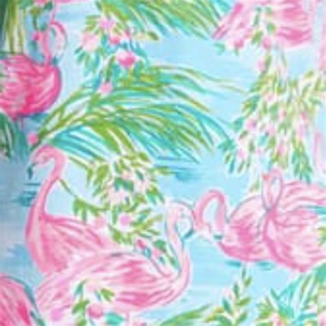 Lilly Pulitzer Prints Lilly Pulitzer Print Names Lilly Pulitzer