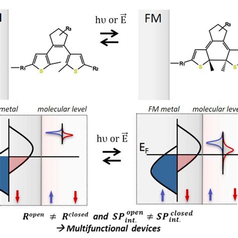 Proposal Of A Multifunctional Molecular Spintronic Device The Use Of