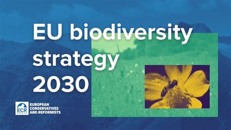 What Is The EU S Biodiversity Strategy For 2030 Gomydeal