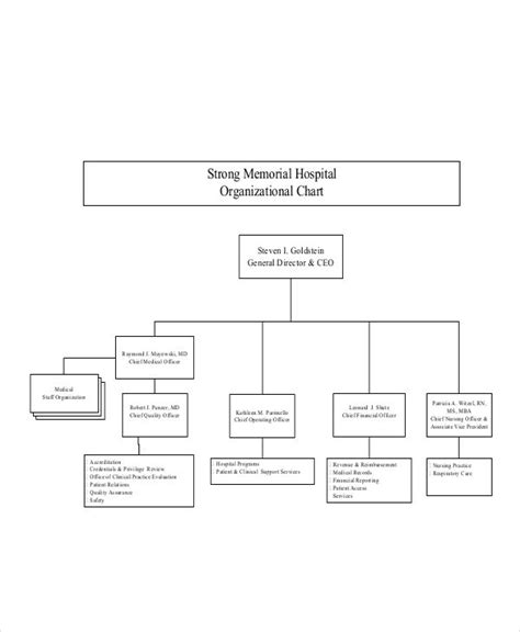 Organizational Chart - 17+ Examples, Format, Pdf | Examples