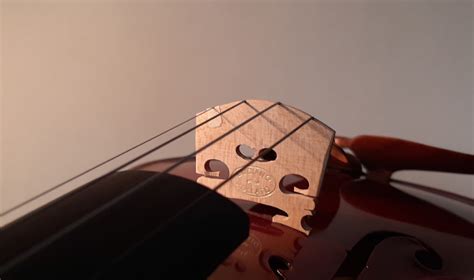 Handgefertigte Italienische Geigen Online Bestellen Venetian Violins