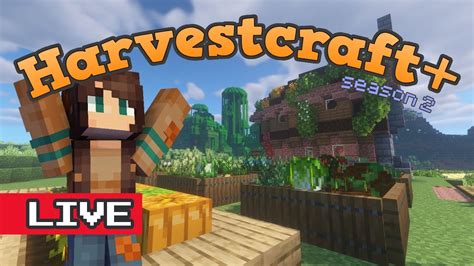 New Recipes and Cooking for Blockheads! Harvestcraft+ 1.16.4 Live Episode - YouTube