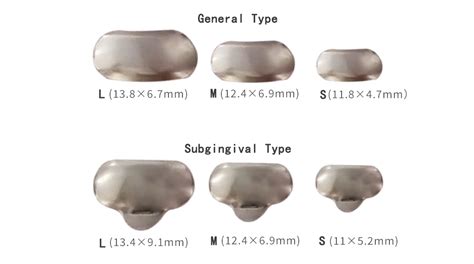 Ce Approved Uncoated Stainless Steel Dental Bean Shaped Slice Treedental