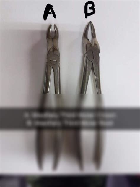 Solution Maxillary 3rd Molar Forceps Studypool