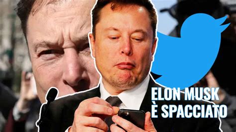 Twitter Di Elon Musk Ha Le Ore Contate Un Nuovo Social Pronto Per