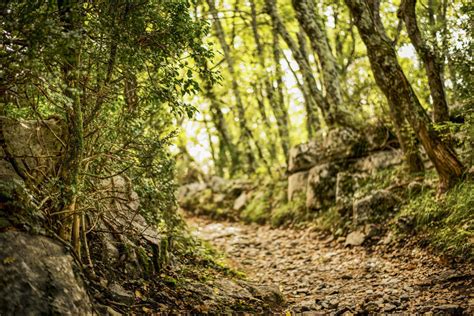 Images Gratuites paysage arbre la nature Roche région sauvage