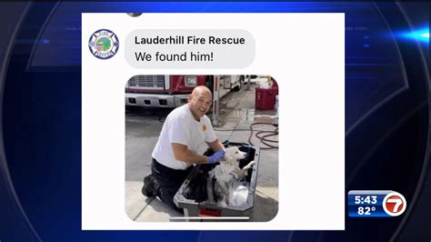 Missing Dog Found By Lauderhill Firefighters Reunited With Owner After