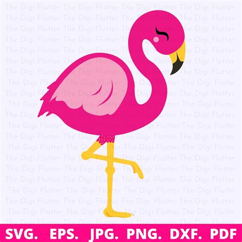 Flamingo Svg Flamingo Clipart Flamingo Cricut Pink Flamingo Svg