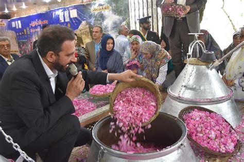 آغاز نوزدهمین جشنواره گل محمدی در شهر نیاسر خبرگزاری میراث آریا