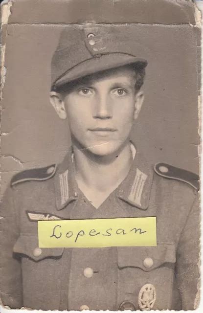 FOTO GEBIRGSJÄGER PORTRAIT Panzer Grenadier medals Orden M43 ASA Verw