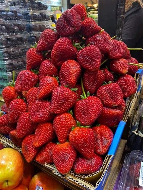 How To Grow Giant Strawberries Big Strawberry