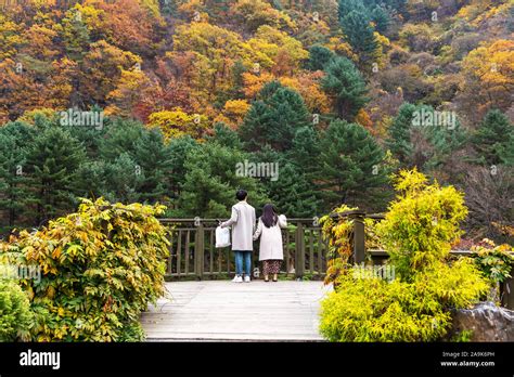 Gapyeong High Resolution Stock Photography and Images - Alamy