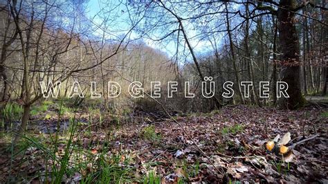 Fr Hlingserwachen Am Kleinen Waldsee Waldger Usche Naturger Usche