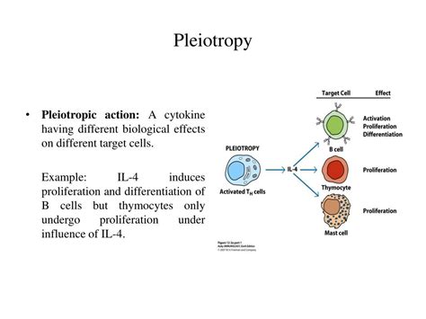 Ppt Cytokines Powerpoint Presentation Free Download Id2747028