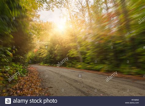 Country Road Through Maple Forest In Autumn Canada Stock Photo Alamy