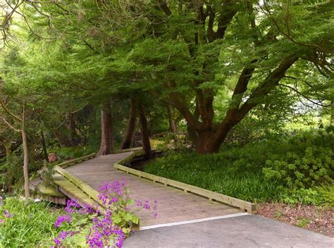 golden gate park botanical garden map - Susanne Womack