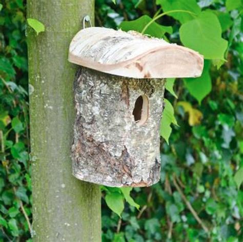 How To Choose Right Birdhouse To Attract Nesting Birds In