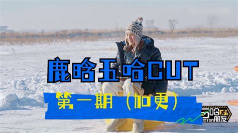 鹿晗5哈cut第1期加更 高清1080p在线观看平台 腾讯视频