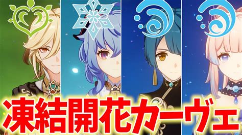 話題の「凍結開花カーヴェ」を使ってみた！想像の5倍火力が出るらしいぞ！【原神live】 Youtube