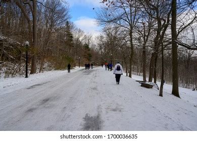 191 Frozen Trees In Mount Royal Images, Stock Photos & Vectors | Shutterstock