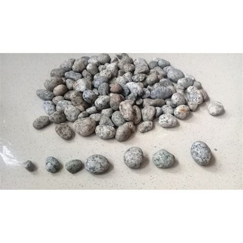 Jual Batu Koral Telur Puyuh 1 3cm 1 Kg Terrarium Aquascape Taman