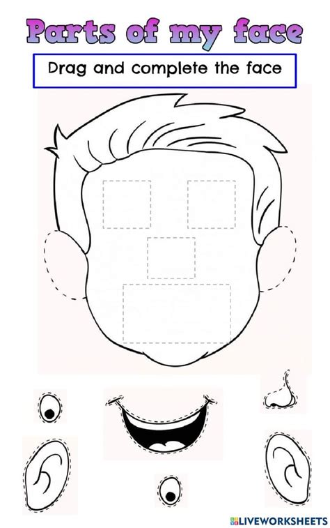 Parts Of The Face Online Worksheet For Kindergarden Hojas De Trabajo