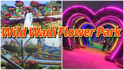 Wild Wadi Flower Park Ranchi