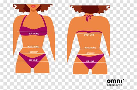 Bikini Calculator Measurements Hip Body Plot Label Diagram