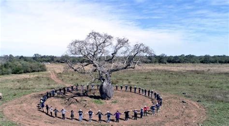 Diario Hoy Colosos De La Tierra Delegaci N Va En Busca De Los