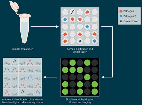 Practical Guidance For Clinical Microbiology Laboratories Mycobacteria