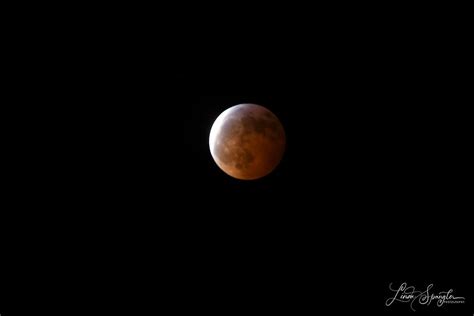 Super Blood Wolf Moon January 2019 Flickr